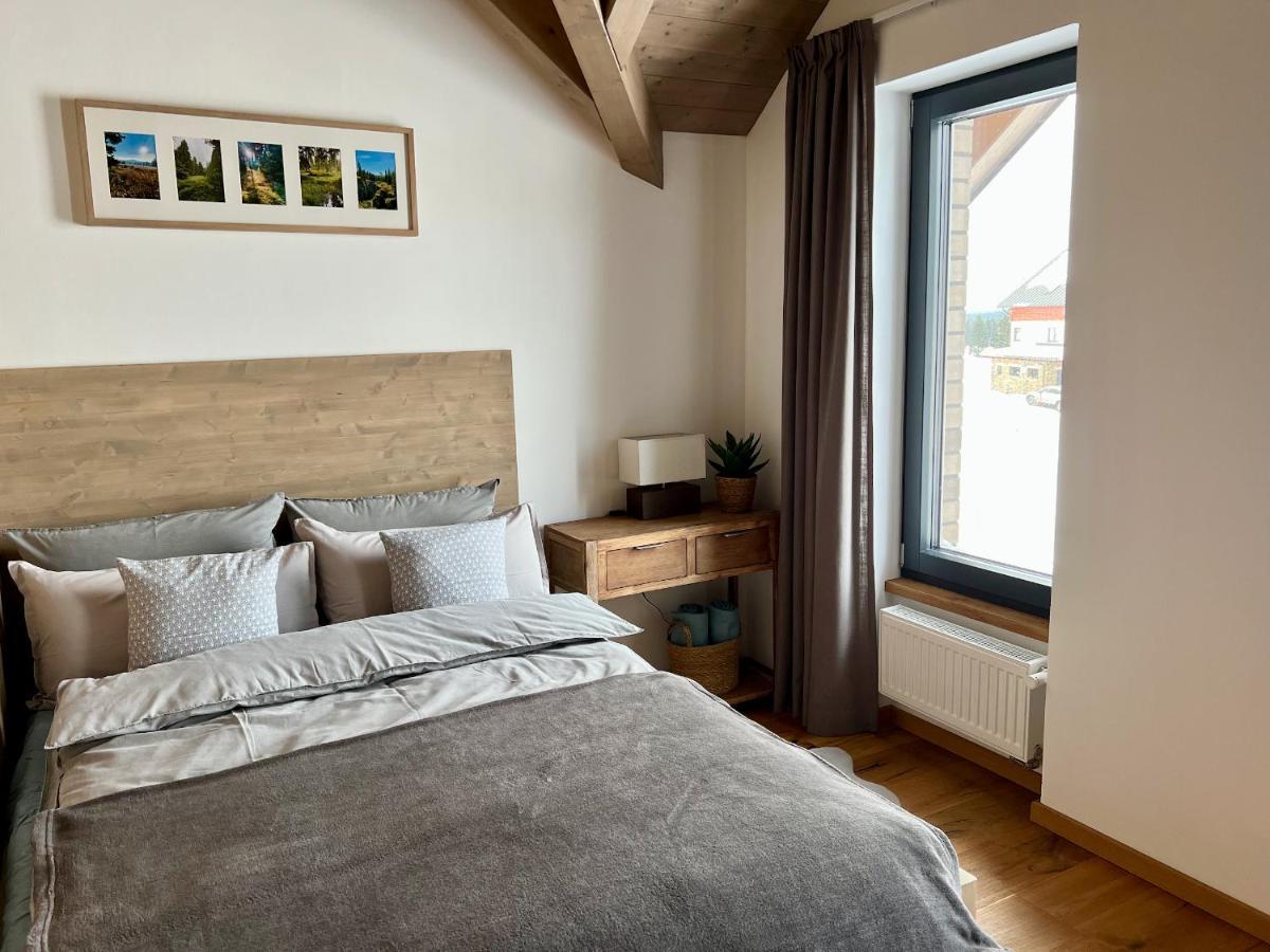Villa Bohemia - Boží Dar Extérieur photo